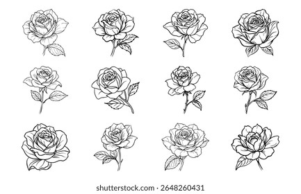 Este é um vetor de alta qualidade ou design de imagem relacionado com 'bundlerose flor macia plana vermelho cor elegante botânica rosa flor macia plana vermelho co 18'. Perfeito para uso comercial e criativo.