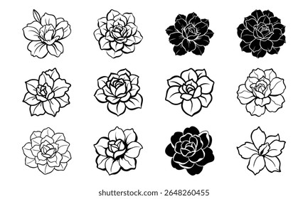 This is a high-quality vector or image design related to 'bundle desert rose thick petals with flat red tones cle 100 desert rose thick petals wi'. Perfect for commercial and creative use.