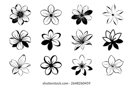 This is a high-quality vector or image design related to 'bundle tagar flower clean white petals soft flat fill 40 tagar flower clean white petal'. Perfect for commercial and creative use.