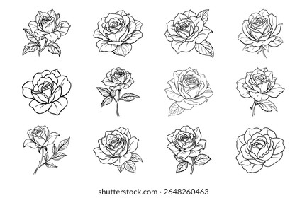 Este é um vetor de alta qualidade ou design de imagem relacionado com 'bundle rose flower soft flat red color elegante botanica 111 rose flower soft flat red c'. Perfeito para uso comercial e criativo.