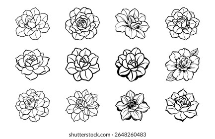 This is a high-quality vector or image design related to 'bundle desert rose thick petals with flat red tones cle 87 desert rose thick petals wit'. Perfect for commercial and creative use.