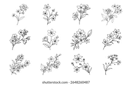 Este é um vetor de alta qualidade ou design de imagem relacionado com 'bundle kurchi flor pequenas flores brancas com liso macio 1 kurchi flor pequeno branco bl'. Perfeito para uso comercial e criativo.