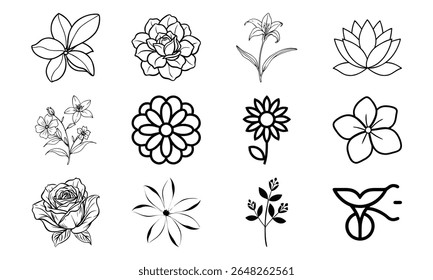 This is a high-quality vector or image design related to 'bundle 16'. Perfect for commercial and creative use.