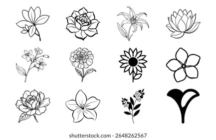 This is a high-quality vector or image design related to 'bundle 24'. Perfect for commercial and creative use.
