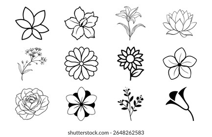 This is a high-quality vector or image design related to 'bundle 12'. Perfect for commercial and creative use.