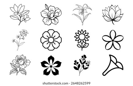 This is a high-quality vector or image design related to 'bundle 1'. Perfect for commercial and creative use.