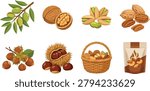 This high-quality vector set illustrates a variety of edible nuts in shells and shelled forms, perfect for organic food packaging and healthy lifestyle designs. The collection includes popular varieties like walnuts and pistachios alongside a woven harvest basket and a snack pouch.
