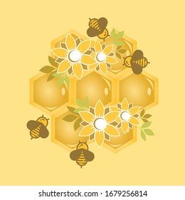 This is honey, hive, bees, sun and sunflower