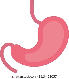 This is a human stomach isolated design. This is a human body part.