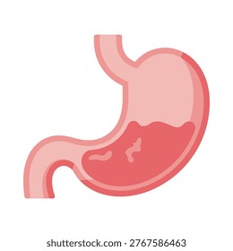 This is a human stomach organ, stomach vector organ