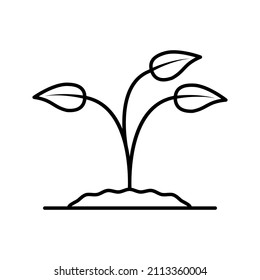 este es un icono relacionado con el color verde que utiliza el estilo de esquema para los propósitos del proyecto de diseño