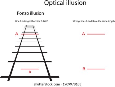 ponzo illusion experiment