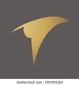 This illustrated logo is inspired by the beak of a gallant eagle