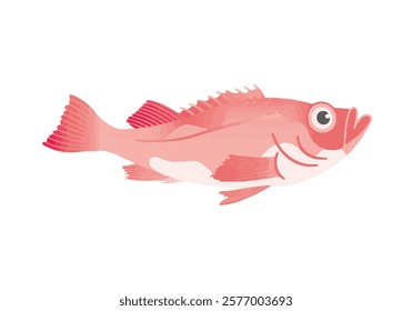 This is an illustration of Atlantic redfish.