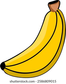 This is an illustration of a banana