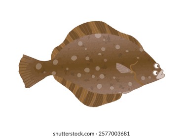 This is an illustration of Barfin flounder.