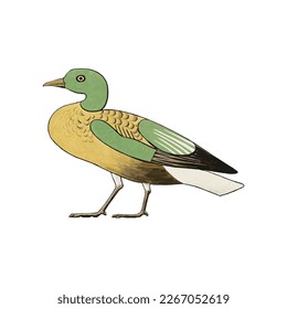 Esta es una ilustración de un hermoso pato.