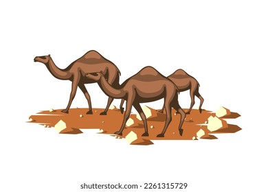 This is an illustration of camels in the desert, three camels are on their way to somewhere.