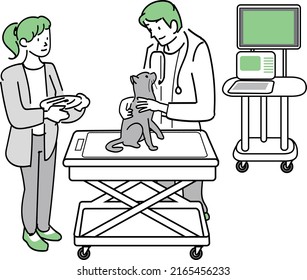 This is an illustration of a cat being treated at a veterinary clinic.