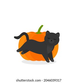 This is an illustration. Cat and pumpkin are isolated on a white background.