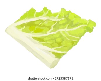 This is an illustration of chopped Chinese cabbage. It can be used for cooking-related designs, illustrations, diagrams, etc.