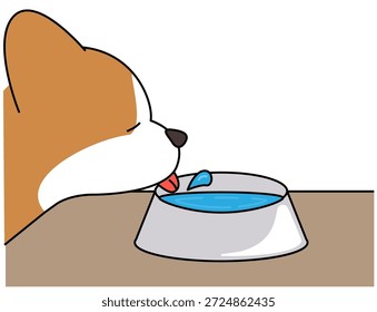 Esta es una ilustración de un Corgi bebiendo agua de un recipiente (hidratación).