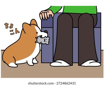 Esta é uma ilustração de um Corgi segurando um bicho de pelúcia e pedindo ao seu dono para brincar com ele.