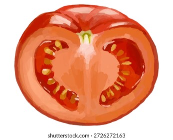 Esta es una ilustración de una sección transversal de un tomate cortado por la mitad. Se puede utilizar para diseños relacionados con alimentos, ilustraciones, diagramas, etc.
