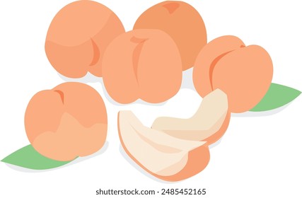 
This is an illustration cut of a peach.