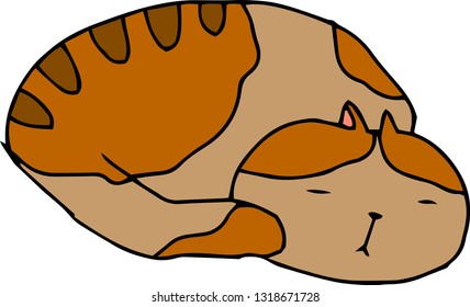 This is an illustration of a cute cat handwritten.