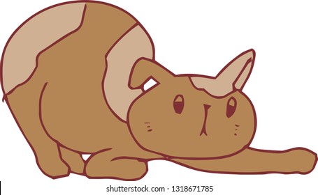This is an illustration of a cute cat handwritten.
