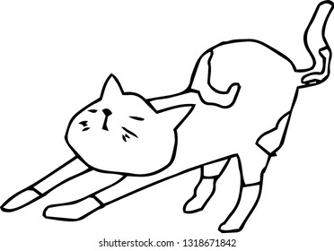 This is an illustration of a cute cat handwritten.