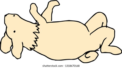 This is an illustration of a cute dog handwritten.