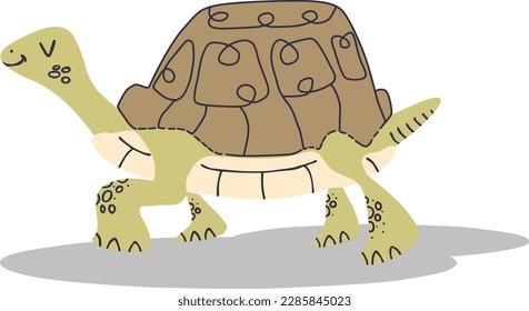 This is an illustration of a cute tortoise.  Everyone will love it!