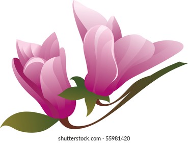this illustration depicts beautiful floral compositions