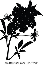 this illustration depicts beautiful plants and flowers