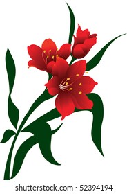 this illustration depicts beautiful plants and flowers