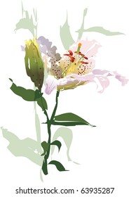 this illustration depicts beautiful plants and flowers