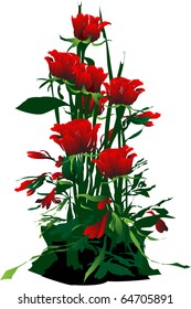 this illustration depicts a beauty of flowers