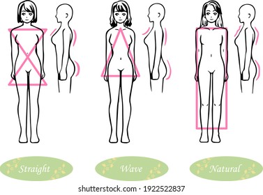 This illustration depicts three types of body shapes (straight, wave, and natural) based on skeletal diagnosis.
