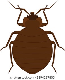 This is an illustration design for bed bugs.