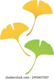 This is an illustration of a fallen ginkgo leaf.