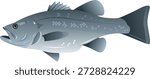 This illustration features a bass fish, highlighting popular sport species such as largemouth bass and black sea bass. Designed with attention to detail, the artwork captures the distinctive shape, coloring, and dynamic posture of this well-known freshwater and saltwater predator. Ideal for anglers, fishing enthusiasts, and outdoor hobbyists, the image emphasizes the strength, agility, and fighting ability that make bass a favorite target in recreational and competitive fishing. Perfect for editorial content, websites, magazines, guides, or merchandise, this versatile artwork provides a realistic and visually appealing representation of aquatic life. The depiction also showcases the fish’s natural habitats, from lakes and rivers to brackish estuaries and coastal waters, illustrating the species’ adaptability and wide distribution. This illustration can be used to celebrate fishing culture, outdoor adventure, and the beauty of aquatic wildlife while serving as an accurate reference for educational or commercial projects. Whether for digital media, promotional designs, or personal collections, this artwork delivers a compelling visual story, appealing to both professionals and hobbyists who value precision, authenticity, and engaging imagery. Its clear lines, natural tones, and lifelike rendering make it a strong addition to any creative project focused on nature, wildlife, or recreational. Enhance your designs with this iconic symbol of sport and aquatic diversity.
