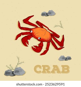 Diese Illustration zeigt eine hellrote Krabbe mit großen Klauen auf sandigem Hintergrund. Um die Krabbe herum sind ein paar kleine Felsen und einige Meerespflanzen. Das Wort "CRAB" ist unten in Fettdruck geschrieben