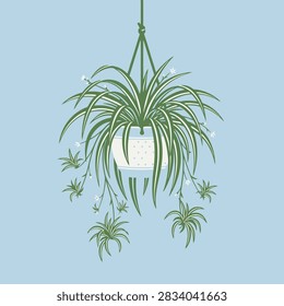 This illustration features a lush, green houseplant with long, slender leaves cascading from a hanging ceramic pot. The plant is adorned with small, delicate white flowers and smaller offshoots, creating a vibrant and natural aesthetic. The composition is centered against a solid, soft blue backdrop, emphasizing the clean lines and minimalist style of the botanical artwork