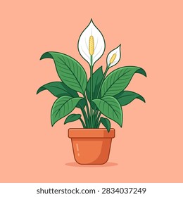 This illustration features a lush indoor plant with broad, deep green leaves and two elegant white flowers. The plant is centered within a classic orange clay container, set against a soft peach-colored background. The clean lines and flat colors create a modern, minimalist aesthetic suitable for various decorative purposes