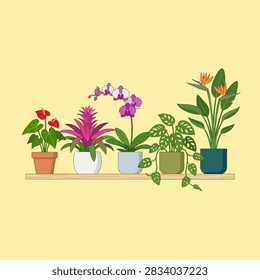 This illustration features a row of five distinct potted plants arranged neatly on a simple wooden shelf against a soft yellow background. The collection includes a red flowering plant, a vibrant pink bromeliad, a delicate purple orchid, a trailing green vine with patterned leaves and a tall tropical plant with orange blooms. Each plant is housed in a unique, minimalist container, creating a clean and modern aesthetic suitable for interior design concepts