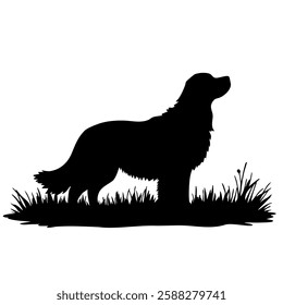 This illustration features the silhouette of a dog standing on grass. The dog appears to be a long-haired breed, possibly a Golden Retriever or a similar breed, with a bushy tail.