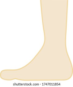 This is an illustration of a flatfoot.