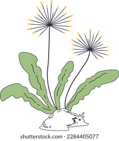 This is an illustration of flowers in a pot with leaves. Hand drawn vector illustration of a branch with flowers and leaves.